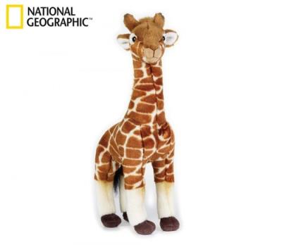 Żyrafa. Wydawca: National Geographic. SmakLiter.pl Opakowanie Żyrafa