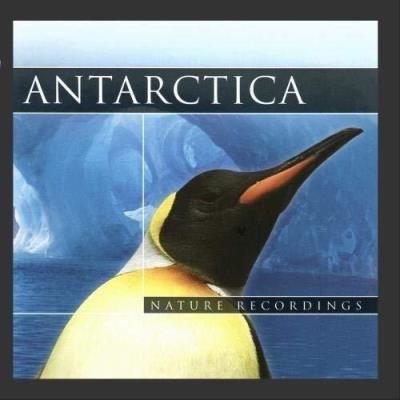 Antarctica. Nature Recordings (CD). Autor:   Praca zbiorowa. SmakLiter.pl Okładka książki Antarctica. Nature Recordings (CD)