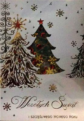 Opakowanie Karnet Boże Narodzenie B6 Premium 22 + koperta