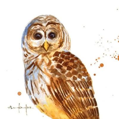 Opakowanie Karnet kwadrat mały z kopertą Blink