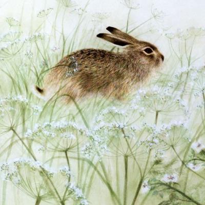 Opakowanie Karnet kwadrat z kopertą Rabbit