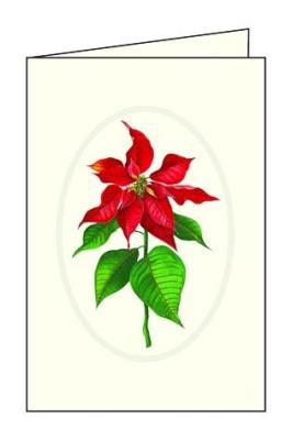 Opakowanie Karnet świąteczny duży 11,5x17cm AGN 778