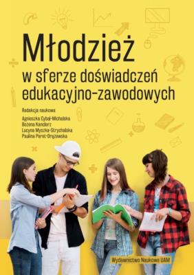 Młodzież w sferze doświadczeń edukacyjno-zawodowych. Autor: Cybal-Michalska Agnieszka, Kanclerz Bożena, Myszka-Strychalska Lucyna, Peret-Drążewska Paulina. SmakLiter.pl Okładka książki Młodzież w sferze doświadczeń edukacyjno-zawodowych