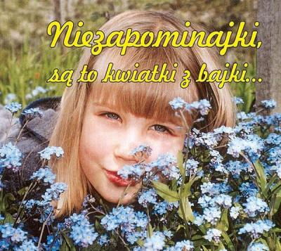 Niezapominajki są to kwiatki z bajki. Wydawca: Wydawnictwo Duszpasterstwa Rolników. SmakLiter.pl Opakowanie Niezapominajki są to kwiatki z bajki
