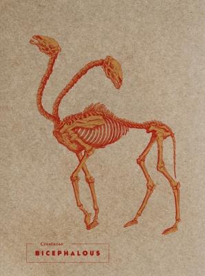 Opakowanie Notes Bicephalous