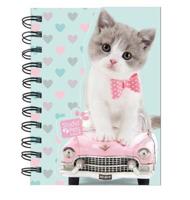 Zdjęcie produktu Notes na spirali Studio Pets PET-3630 PASO