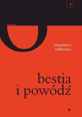 Obecni T.4 Bestia i powódź. Autor: Magdalena Gałkowska. SmakLiter.pl Okładka książki Obecni T.4 Bestia i powódź