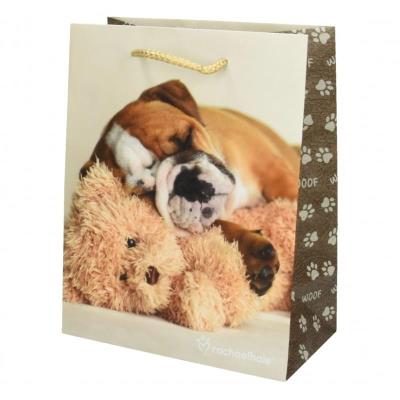 Opakowanie Torba prezentowa Rachael Hale średnia