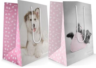 Opakowanie Torba prezentowa Rachel Hale duża