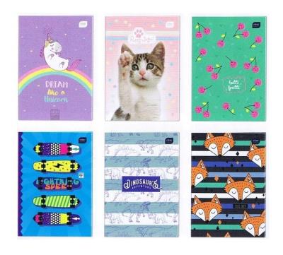 Opakowanie Zeszyt A4/32 kolorowa linia (10szt)