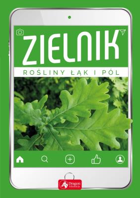 Zielnik. Autor: Opracowanie zbiorowe. SmakLiter.pl Okładka książki Zielnik
