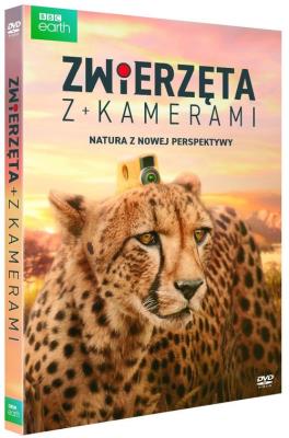 Zwierzęta z kamerami. Wydawca: Best Film. SmakLiter.pl Opakowanie Zwierzęta z kamerami