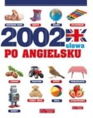 Okładka książki 2002 słowa po angielsku. Ilustrowany słownik