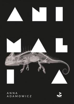 Animalia. Autor: Anna Adamowicz. SmakLiter.pl Okładka książki Animalia