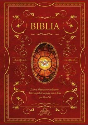 Okładka książki Biblia z obwolutą - wizerunek Ducha Święteg