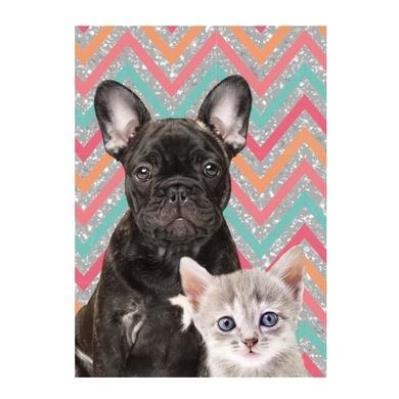 Opakowanie Błyszczący pamiętnik Dog & Cat