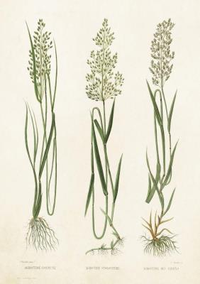 Opakowanie Karnet ST213 B6 + koperta Mietlica