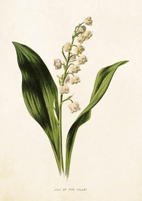 Opakowanie Karnet ST274 B6 + koperta Konwalia