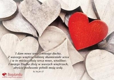 Kartka - I dam nowe serce i nowego.... Wydawca: Bogulandia. SmakLiter.pl Opakowanie Kartka - I dam nowe serce i nowego...