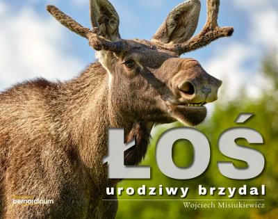 Łoś - urodziwy brzydal. Autor: Wojciech Misiukiewicz. SmakLiter.pl Okładka książki Łoś - urodziwy brzydal
