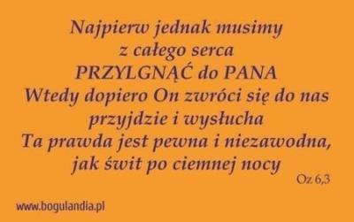 Magnes 34 na lodówkę - Najpierw jednak musimy.... Wydawca: Bogulandia. SmakLiter.pl Opakowanie Magnes 34 na lodówkę - Najpierw jednak musimy...
