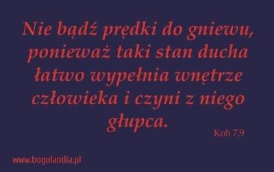Magnes 39 na lodówkę - Nie bądź prędki do gniewu. Wydawca: Bogulandia. SmakLiter.pl Opakowanie Magnes 39 na lodówkę - Nie bądź prędki do gniewu