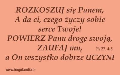 Magnes 41 na lodówkę- Rozkoszuj się Panem, A da ci. Wydawca: Bogulandia. SmakLiter.pl Opakowanie Magnes 41 na lodówkę- Rozkoszuj się Panem, A da ci
