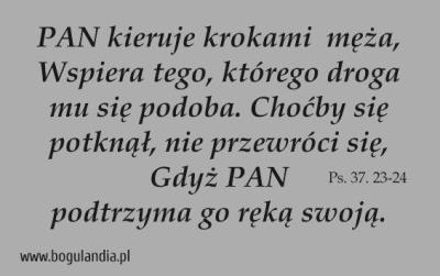 Magnes 42 na lodówkę - Pan kieruje krokami męża. Wydawca: Bogulandia. SmakLiter.pl Opakowanie Magnes 42 na lodówkę - Pan kieruje krokami męża