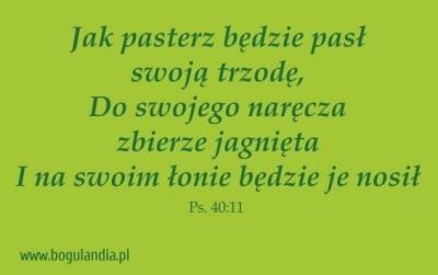 Magnes 45 na lodówkę - Jak pasterz będzie pasł... Wydawca: Bogulandia. SmakLiter.pl Opakowanie Magnes 45 na lodówkę - Jak pasterz będzie pasł..