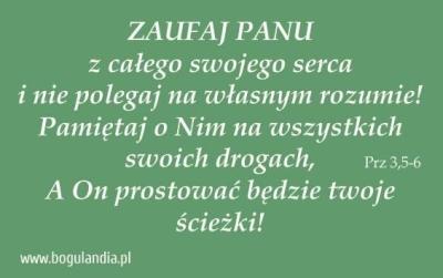 Magnes 48 na lodówkę - zaufaj Panu z całego.... Wydawca: Bogulandia. SmakLiter.pl Opakowanie Magnes 48 na lodówkę - zaufaj Panu z całego...