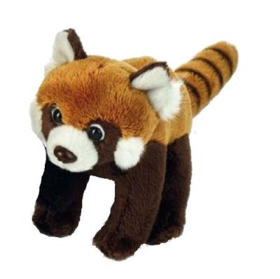 Panda ruda. Wydawca: National Geographic. SmakLiter.pl Opakowanie Panda ruda