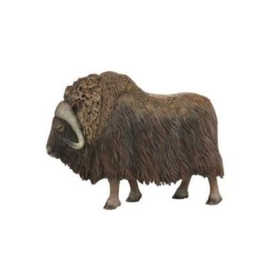 Opakowanie Piżmowół arktyczny