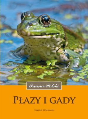 Płazy i gady. Fauna Polski. Autor: Klimaszewski Krzysztof. SmakLiter.pl Okładka książki Płazy i gady. Fauna Polski