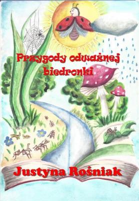 Okładka książki Przygody odważnej biedronki