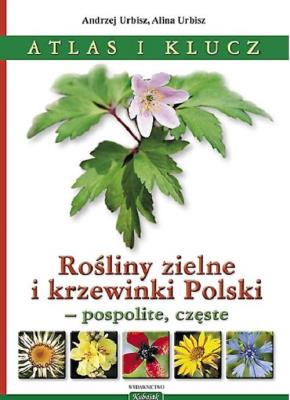 Okładka książki Rośliny zielne i krzewinki Polski