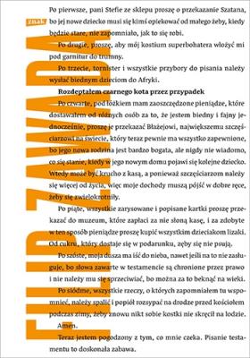 Rozdeptałem czarnego kota przez przypadek. Autor: Zawada Filip. SmakLiter.pl Okładka książki Rozdeptałem czarnego kota przez przypadek