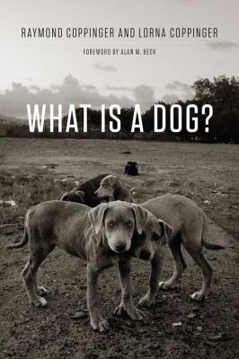 What Is a Dog?. Autor: Coppinger Raymond, Coppinger Lorna. SmakLiter.pl Okładka książki What Is a Dog?