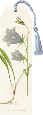 Opakowanie Zakładka 36 ze wstążką Dzwonek brzoskwiniolistny (opakowanie 2 sztuki)