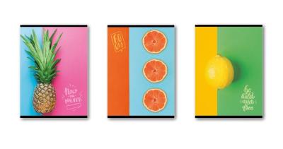 Opakowanie Zeszyt Owoce A5/32K kratka (10szt) STRIGO