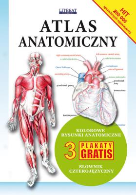Atlas anatomiczny. Autor: Opracowanie zbiorowe. SmakLiter.pl Okładka książki Atlas anatomiczny