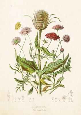 Opakowanie Karnet ST312 B6 + koperta Szczeć