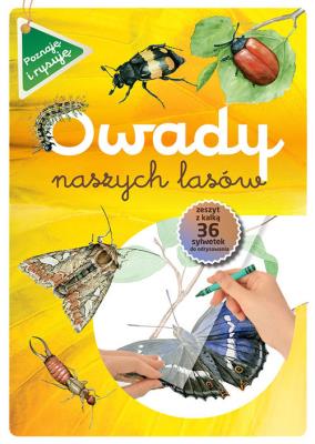 Owady naszych lasów zeszyt w kalką. Autor: Katarzyna Kopiec-Sekieta. SmakLiter.pl Okładka książki Owady naszych lasów zeszyt w kalką
