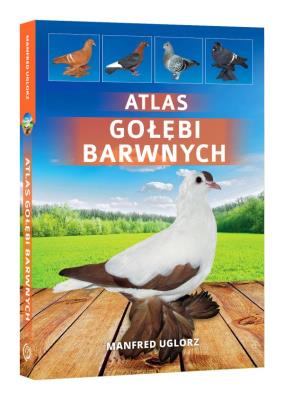 ATLAS GOŁĘBI BARWNYCH. Autor: Uglorz Manfred. SmakLiter.pl Okładka książki ATLAS GOŁĘBI BARWNYCH
