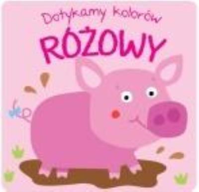 Okładka książki Dotykamy kolorów- Różowy