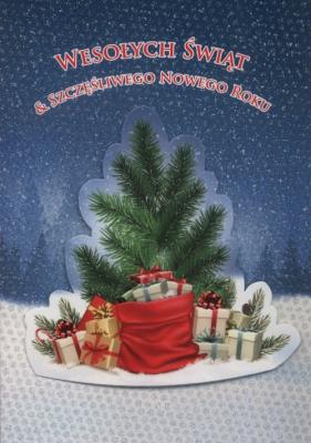 Opakowanie Karnet Boże Narodzenie 3D B6 3D-BNB 172305