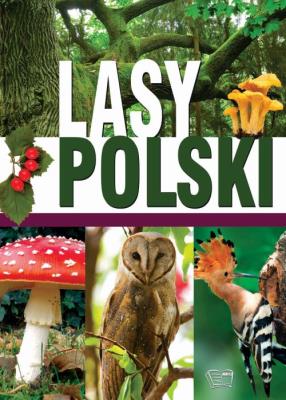 LASY POLSKIE. Autor: Opracowanie zbiorowe. SmakLiter.pl Okładka książki LASY POLSKIE