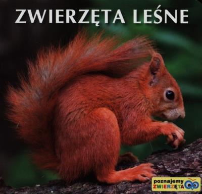 Poznajemy zwierzęta - Zwierzęta leśne. Autor: SZTYWNIACZEK. SmakLiter.pl Okładka książki Poznajemy zwierzęta - Zwierzęta leśne