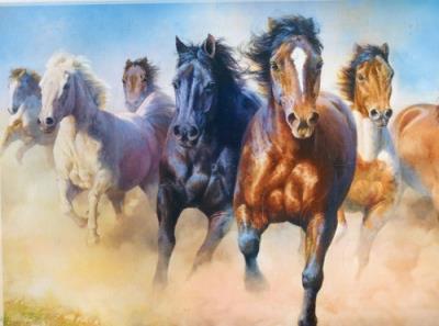 Opakowanie Puzzle 2000 Galopujące stado koni