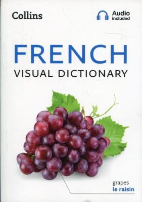 Opakowanie Collins French Visual Dictionary