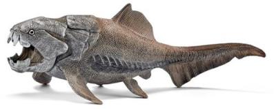 Opakowanie Dunkleostus